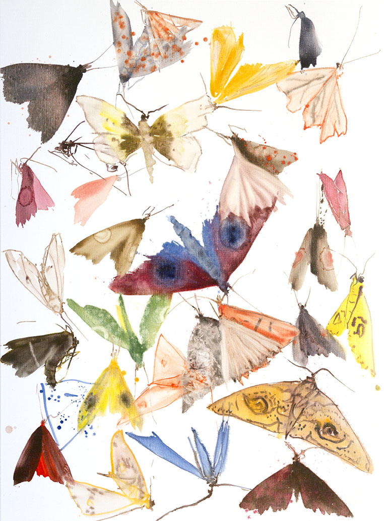 moths overlay